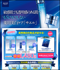 サエル(ディセンシア)